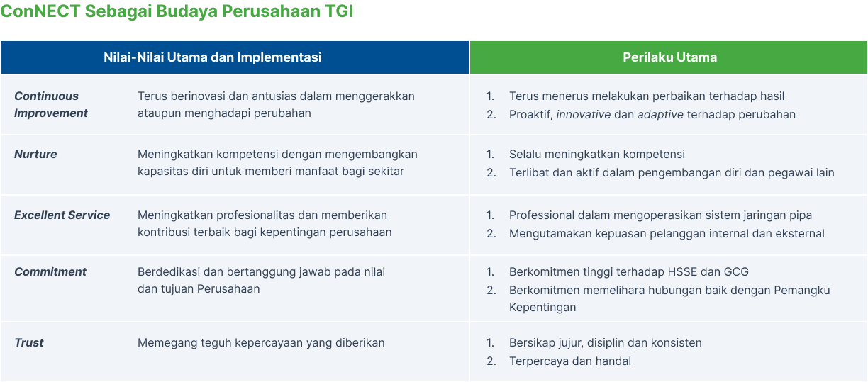 ConNECT as TGI corporate culture - core values and behaviors table